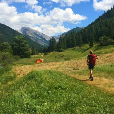 Randonner en montagne avec son chien : les meilleurs circuits