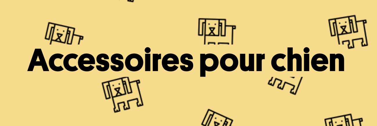 Accessoires pour chien