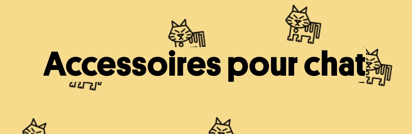 Accessoires pour chat