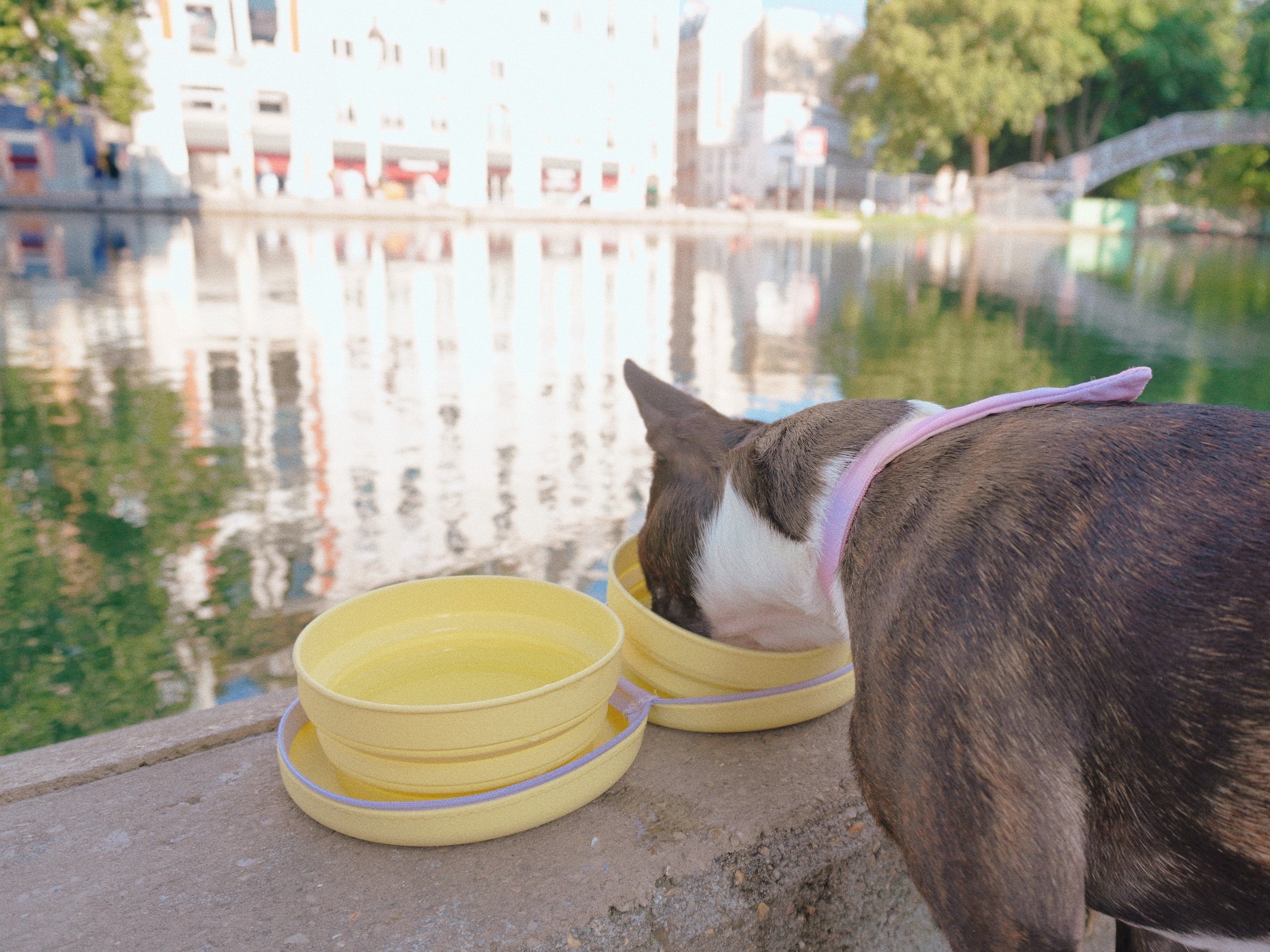 RETRACTABLE BOWL