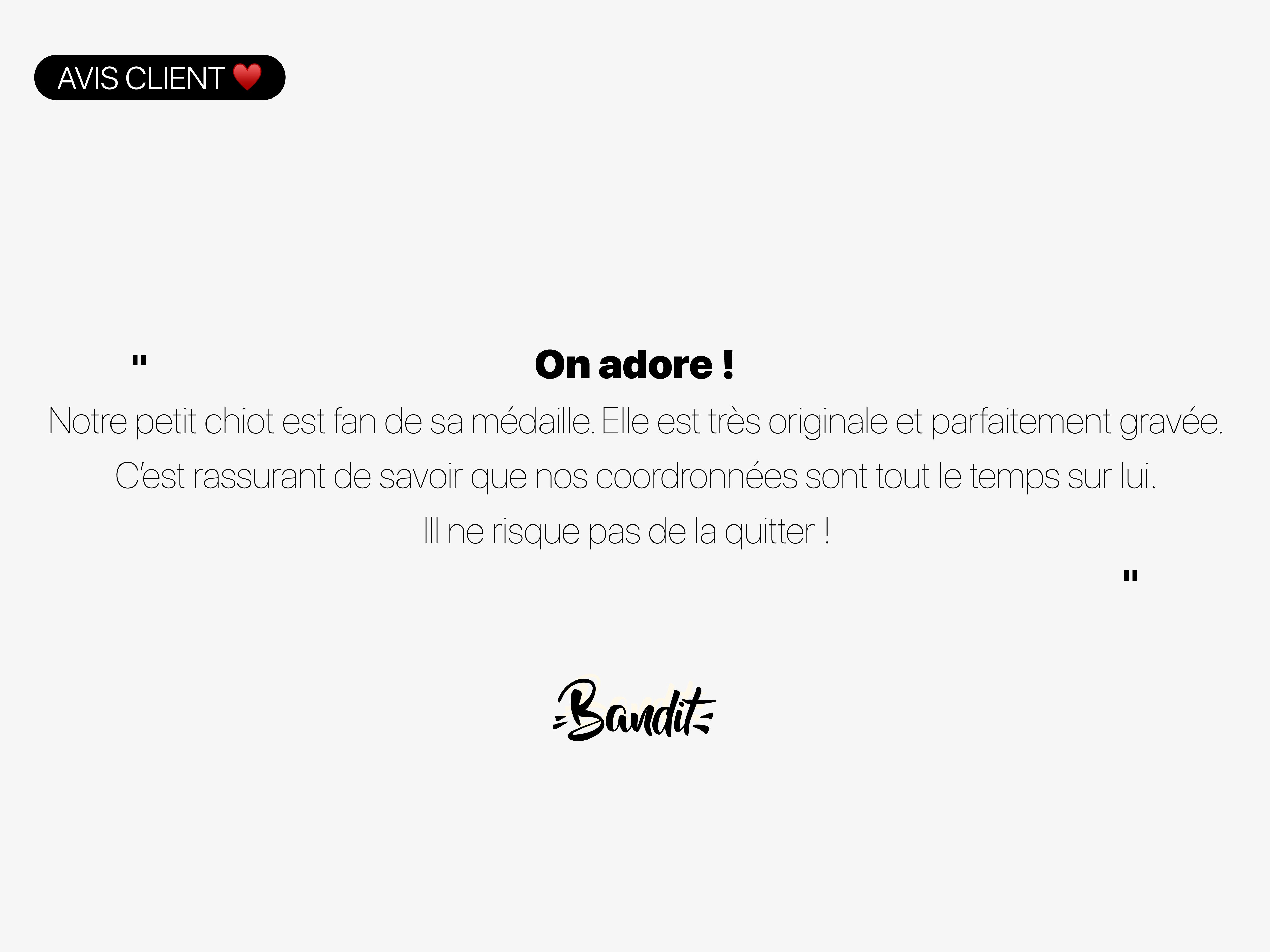 Médaille good girl pour chien