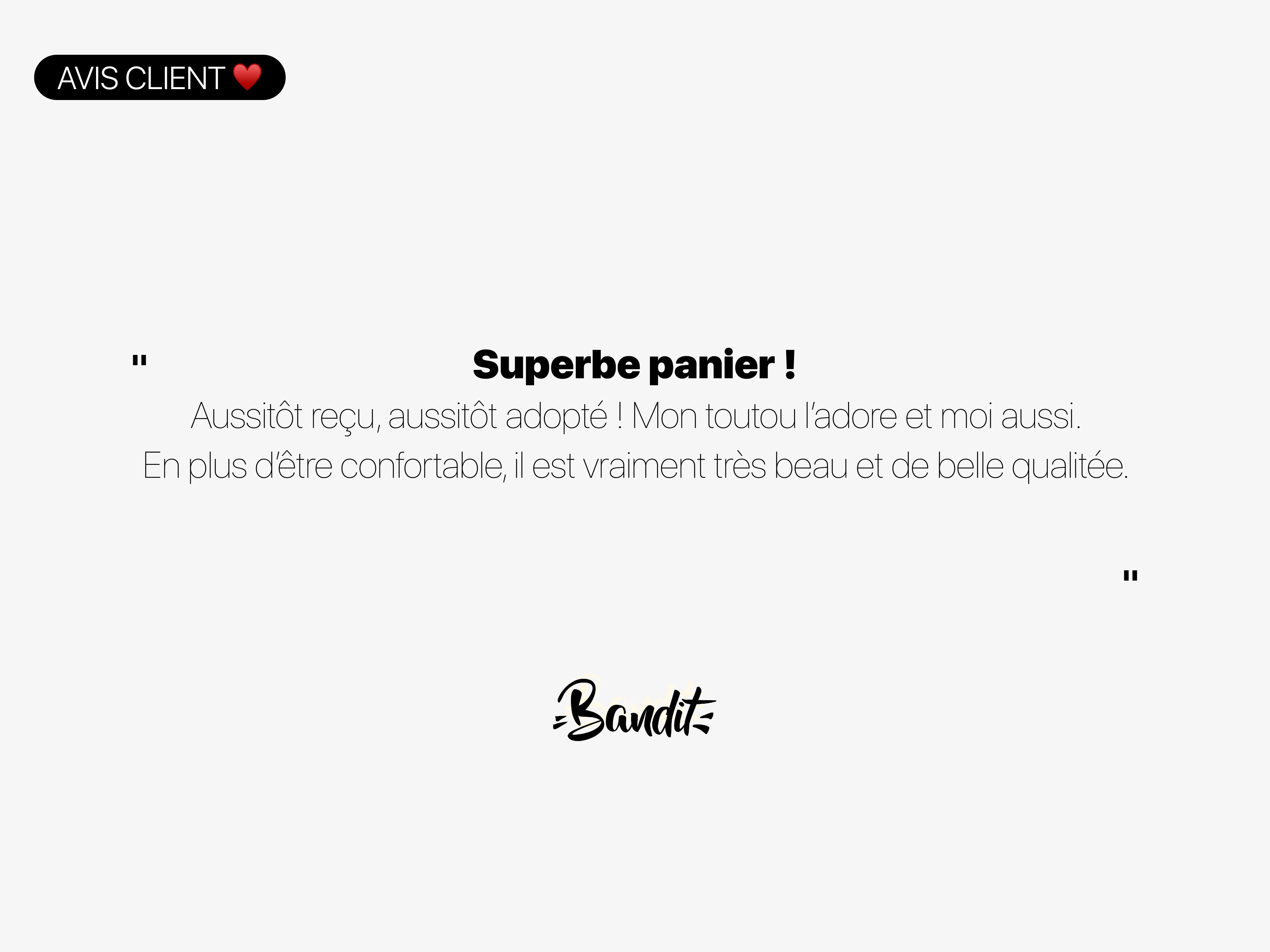 Panier chien motif Palm'Beach