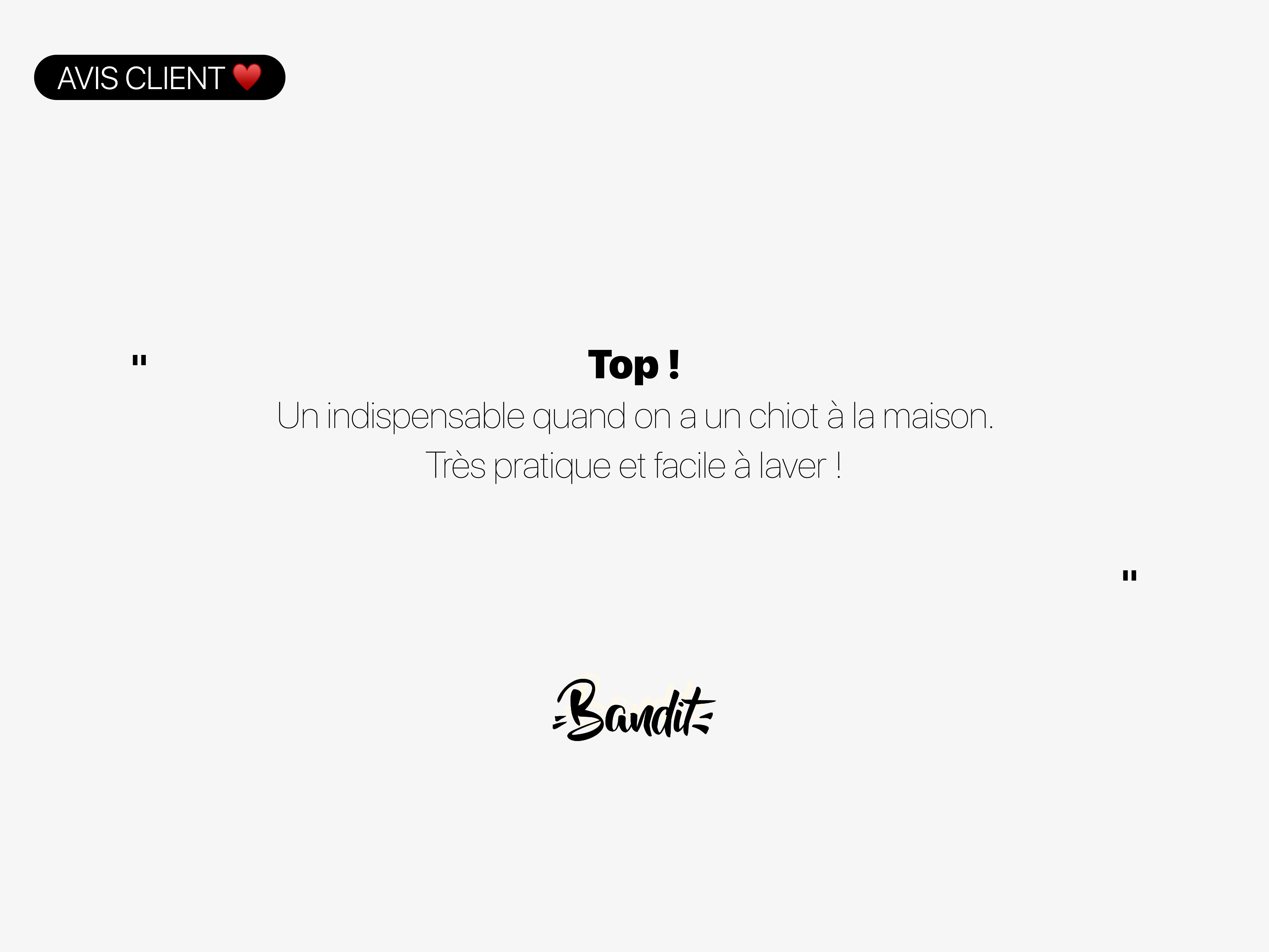 Lot de 2 tapis de propreté