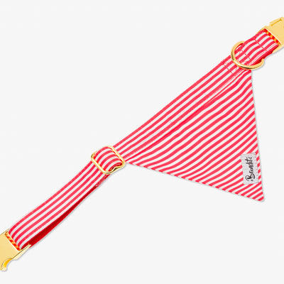Bandana pour chien rayé rouge et blanc