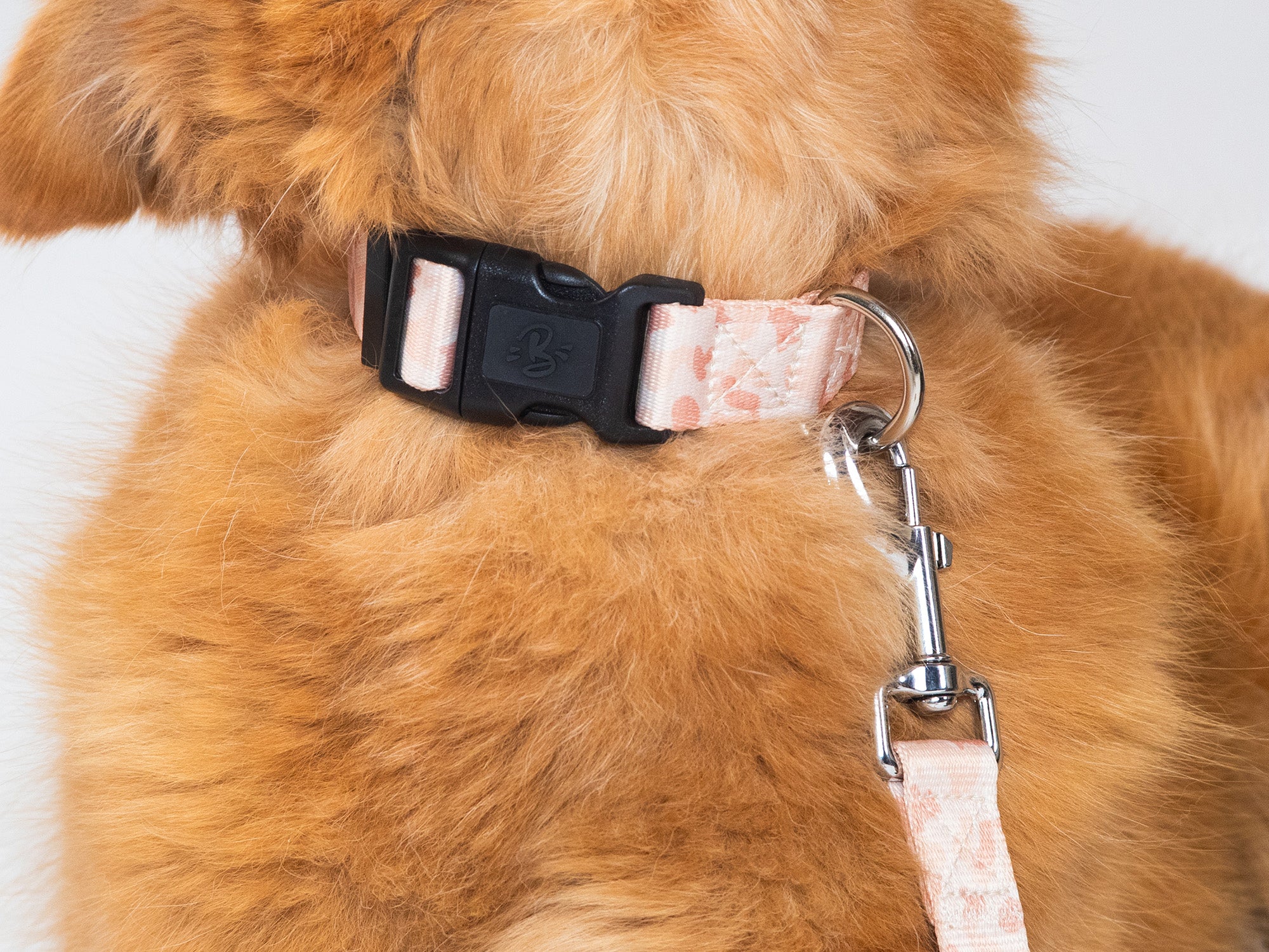 Collier chien camouflage sable