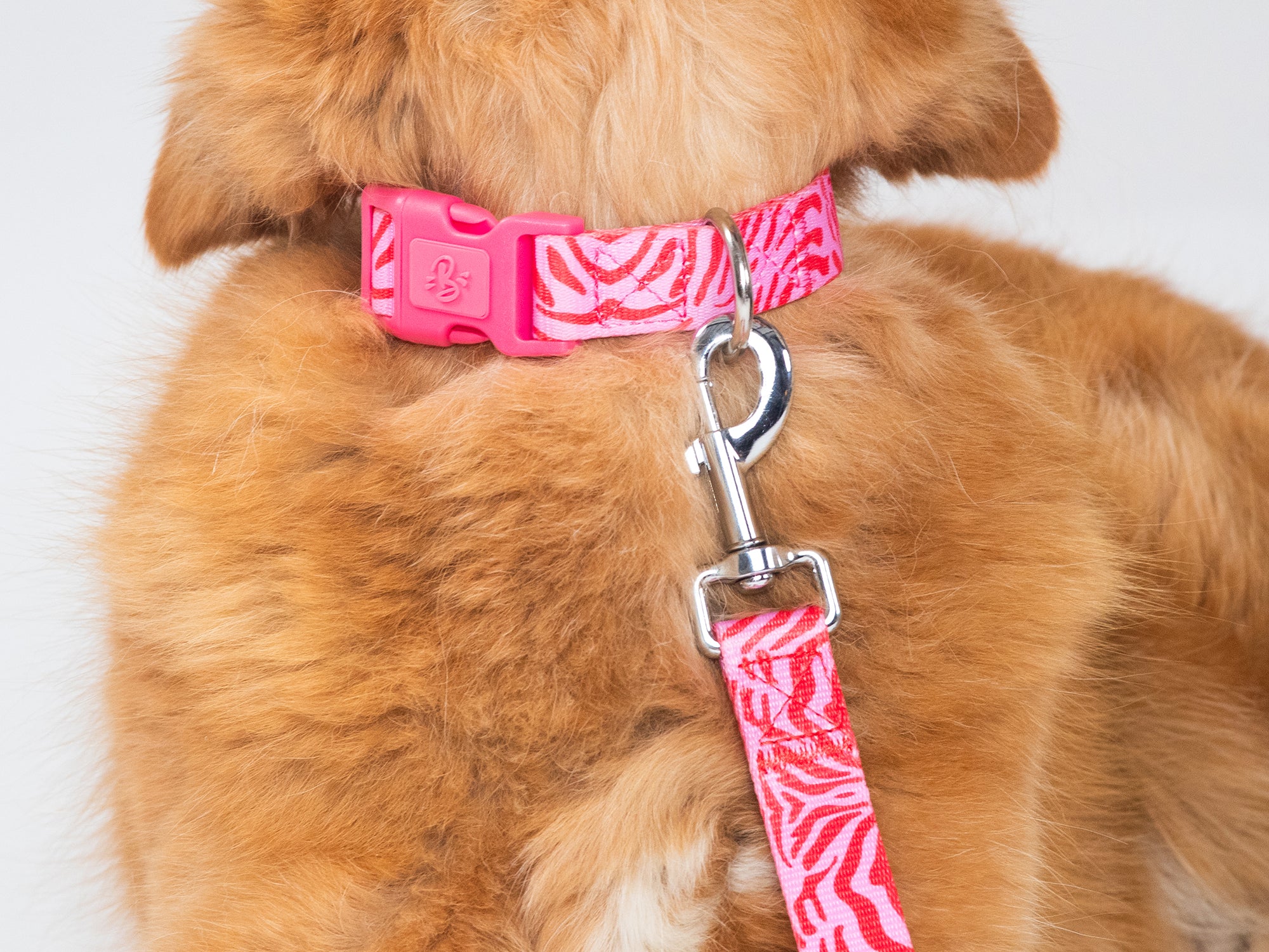 Laisse pour chien zebre rose