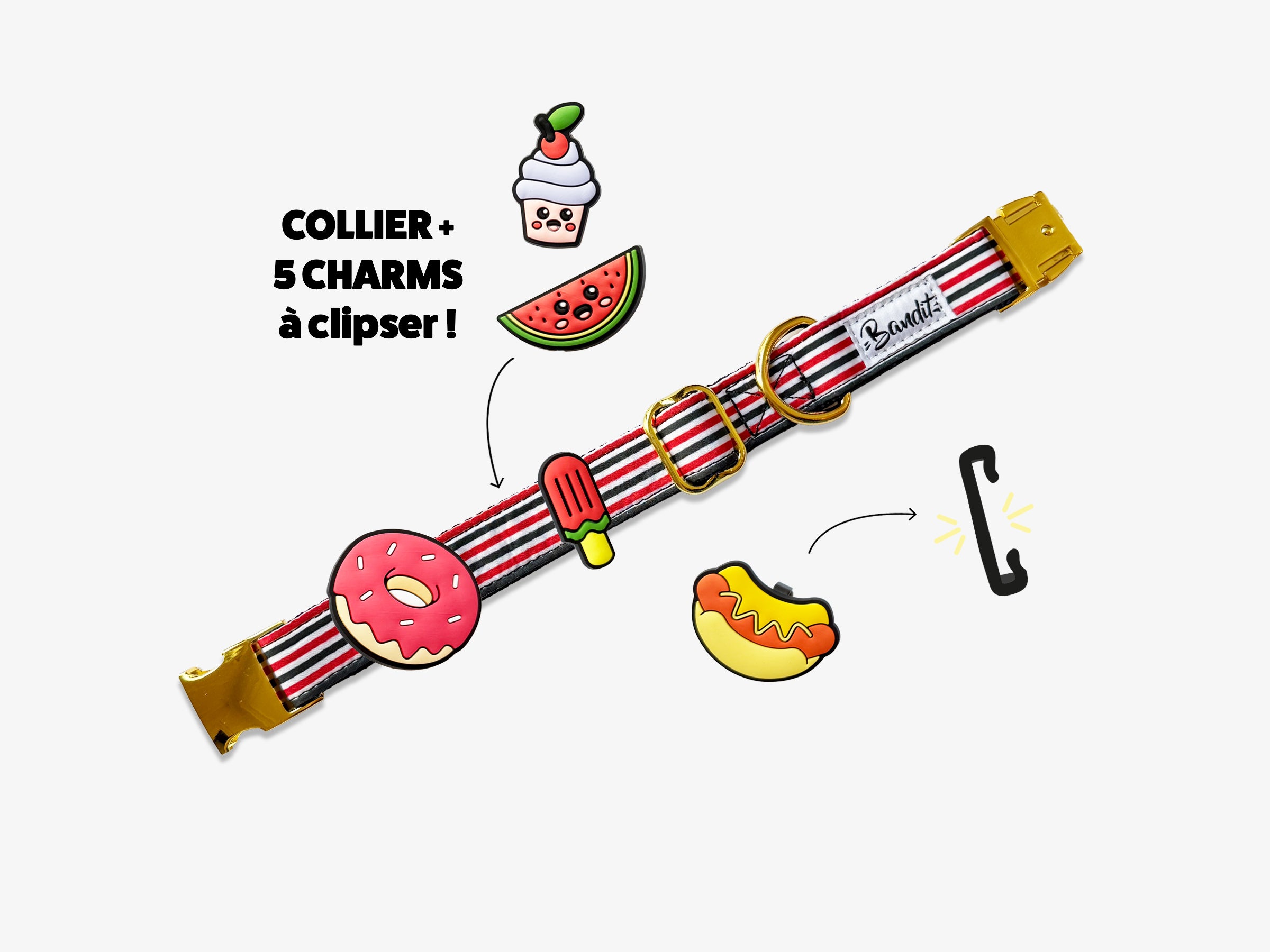 Kit Collier + pack de 5 charms