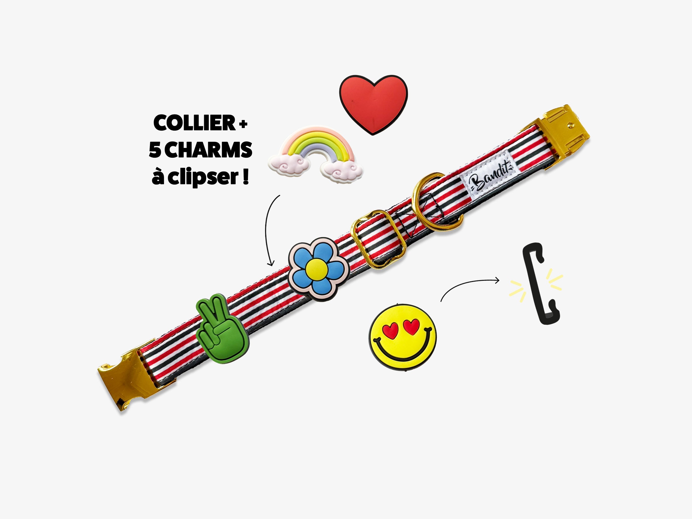 Kit Collier + pack de 5 charms