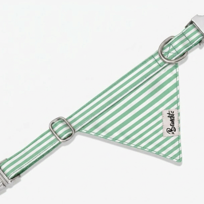 Bandana pour chien rayé vert et blanc