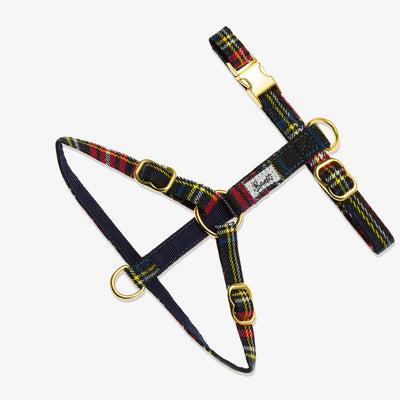 Le harnais pour chat tartan