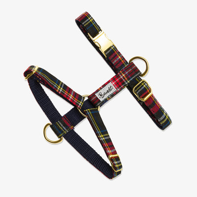 Harnais pour chien tartan