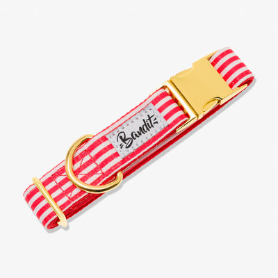 Collier chien rayé rouge et blanc
