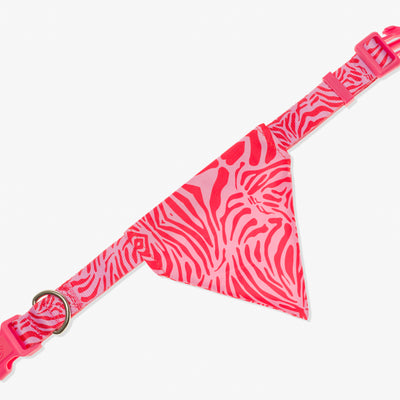Bandana pour chien zebre rose