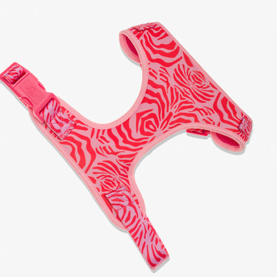 Harnais chien zebre rose
