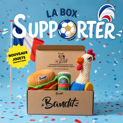 Box jouet pour chien – 2 jouets exclusifs + friandises