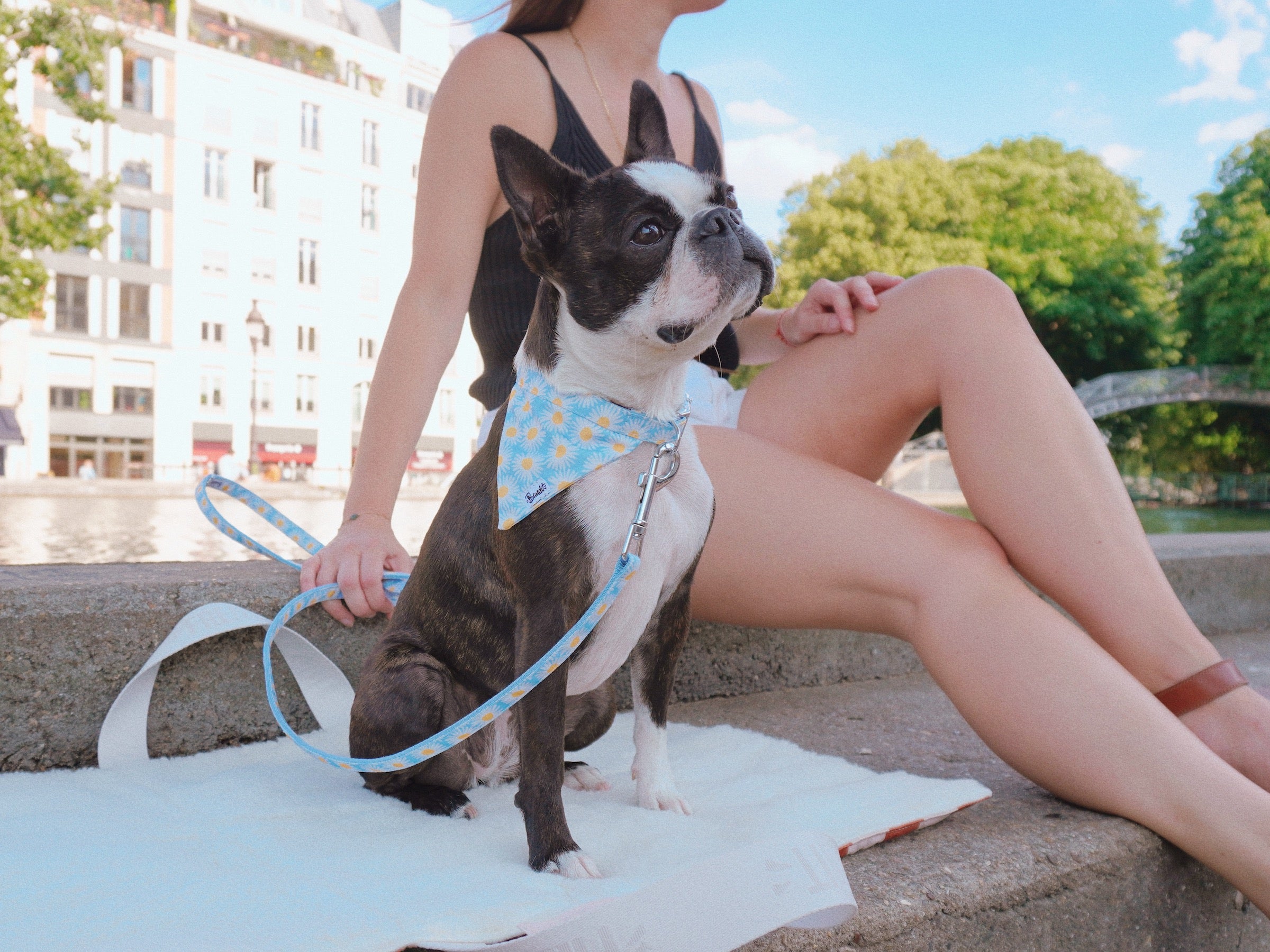 Tapis pour mini et petit chien