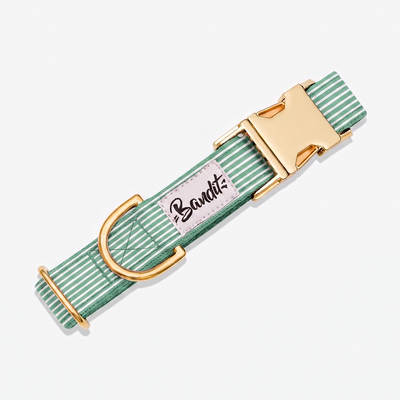 Collier chien rayé vert et blanc