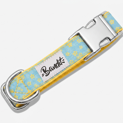 Collier chien jean fleurs jaunes