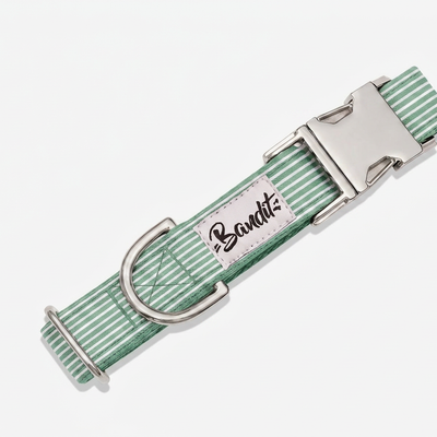 Collier chien rayé vert et blanc