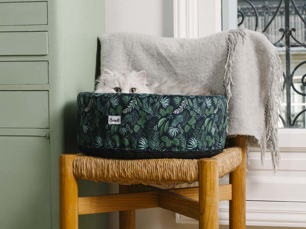 Panier rond pour chat, motif Jungle