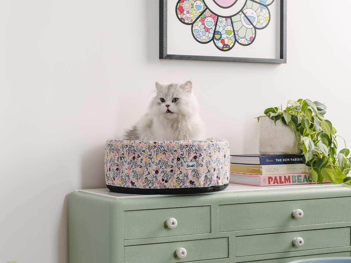 Panier rond pour chat, motif Liberty