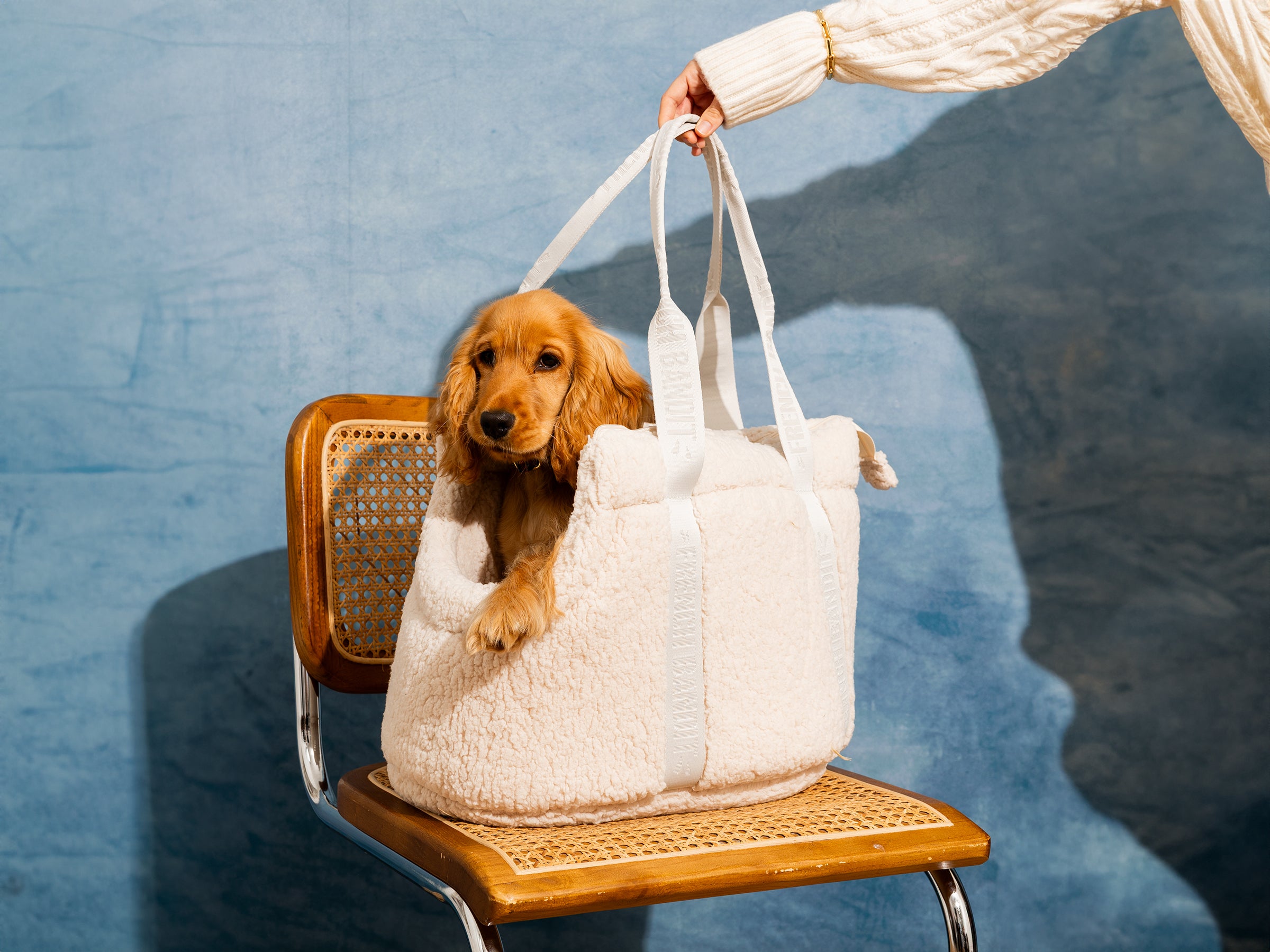 CARRYING BAG - Sherpa