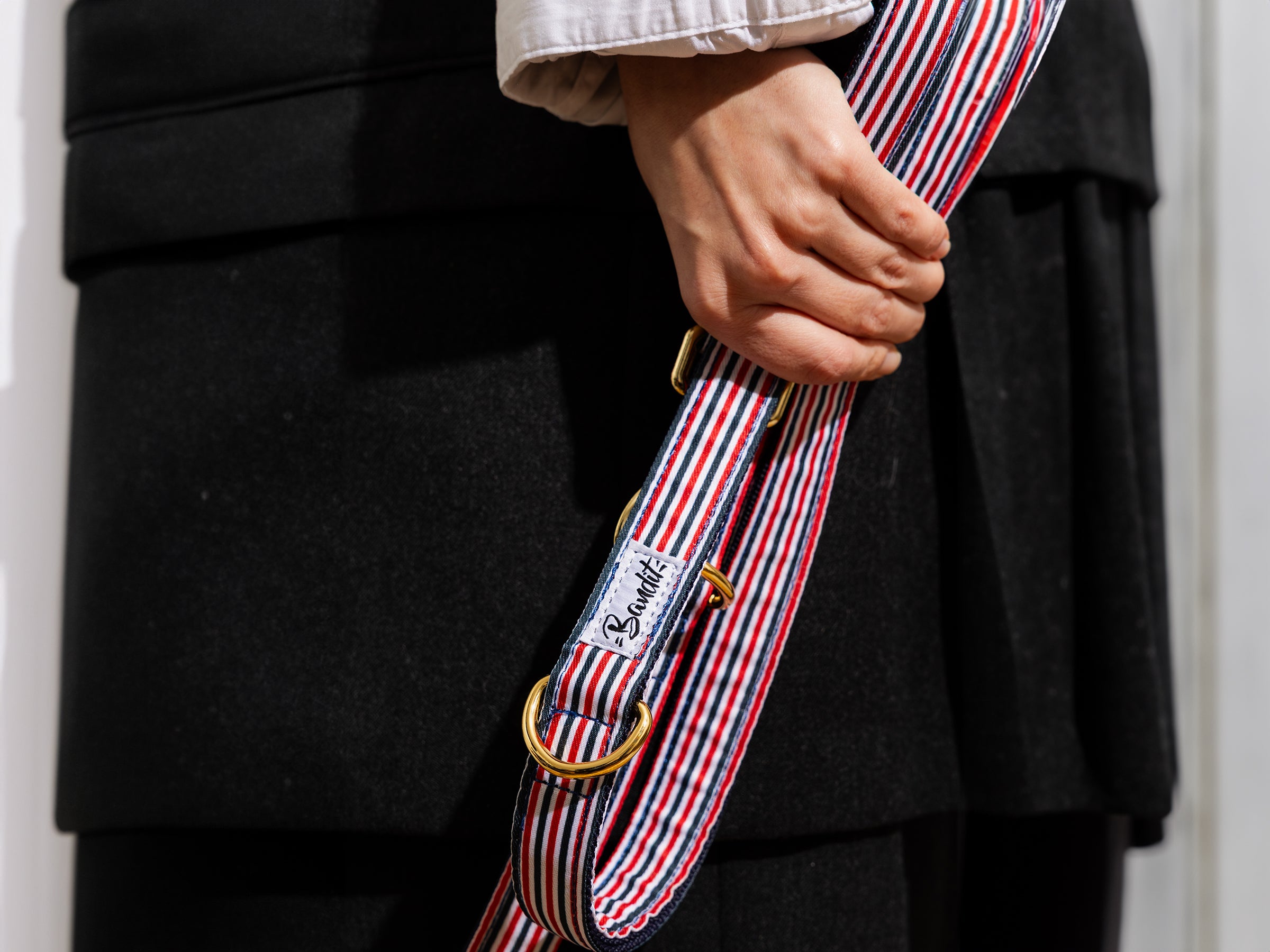 Laisse pour chien bleu blanc rouge