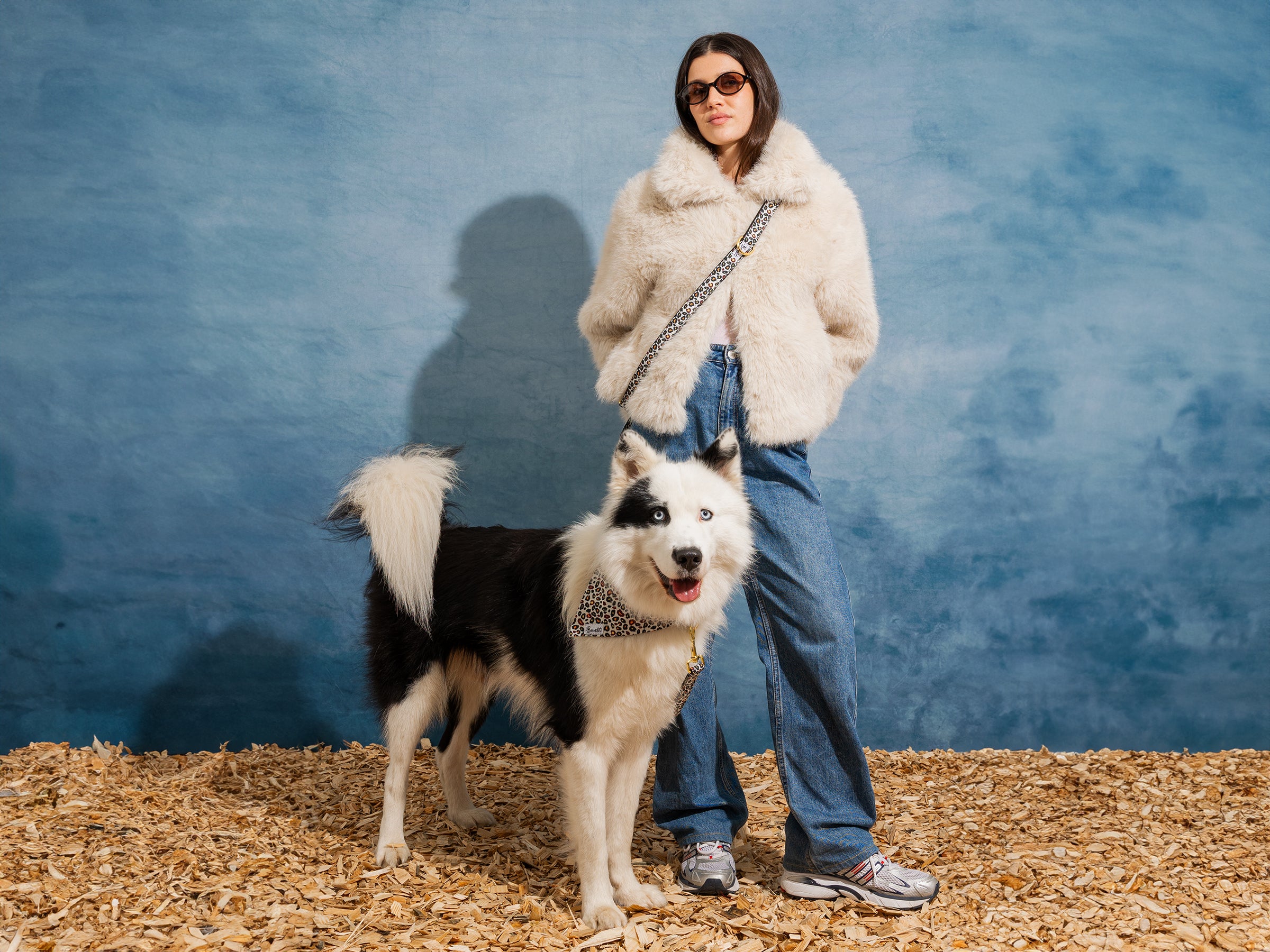 Laisse pour chien motif léopard