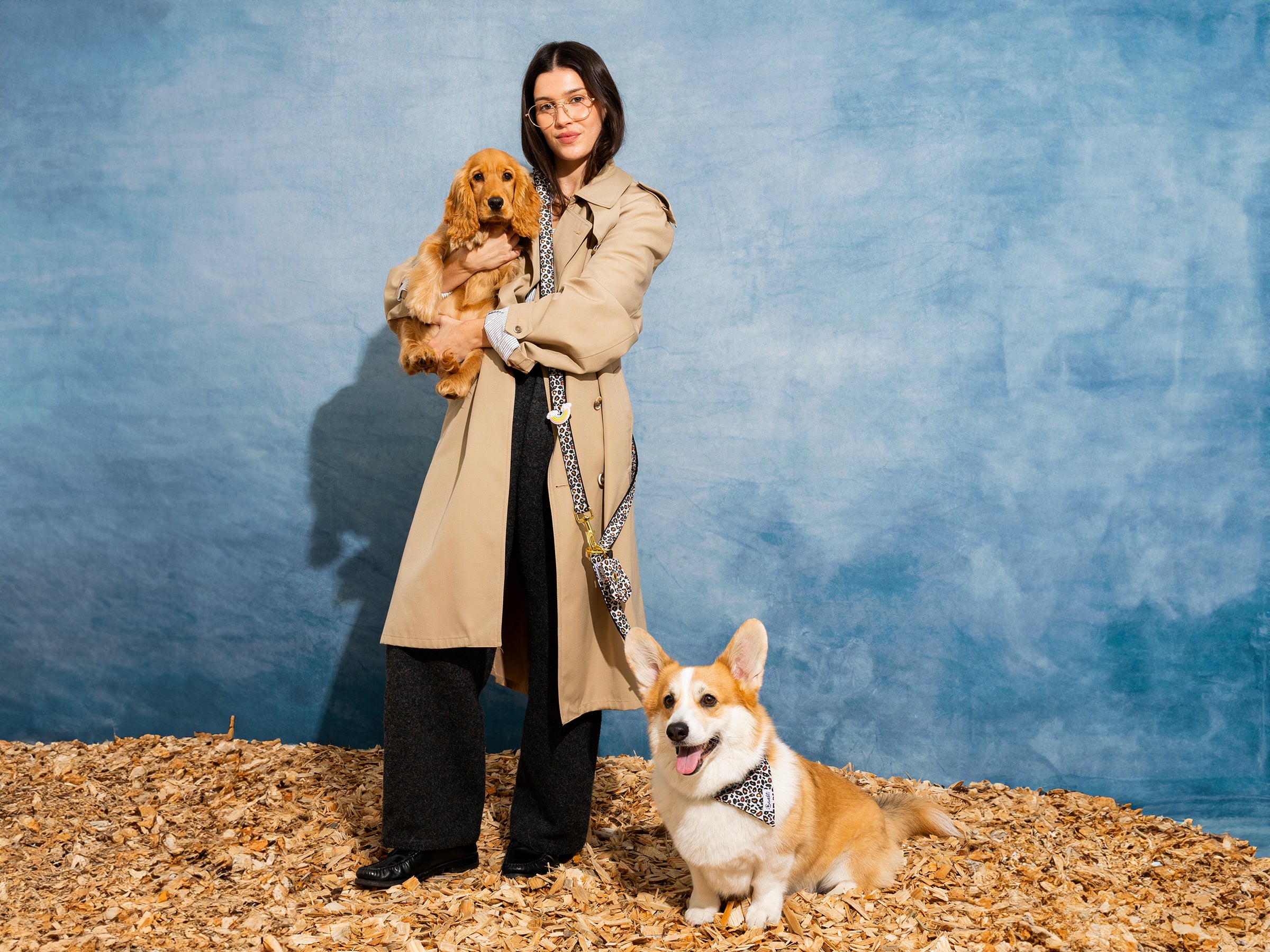 Laisse pour chien motif léopard