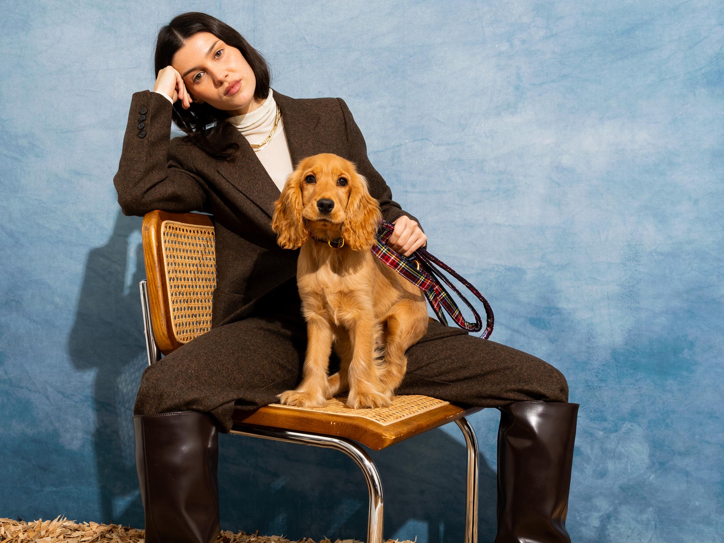 Laisse pour chien tartan