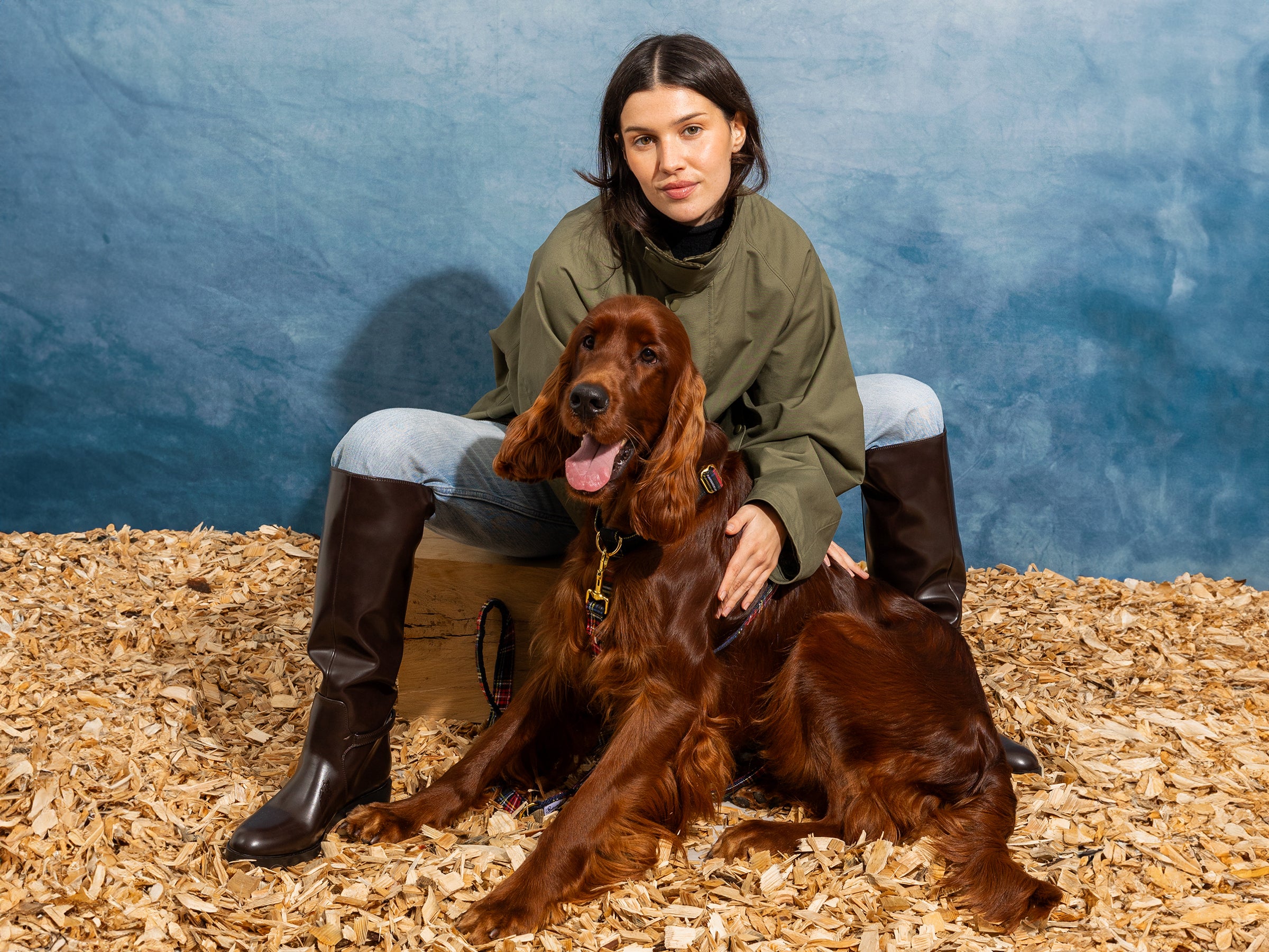 Harnais pour chien tartan