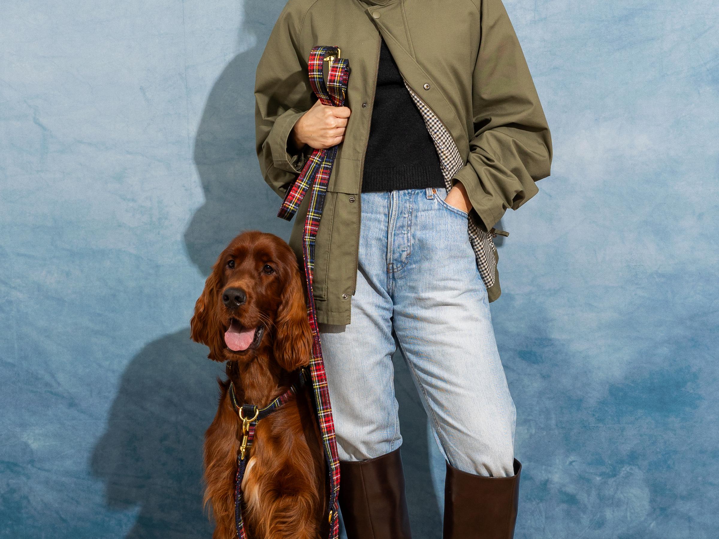 Laisse pour chien tartan