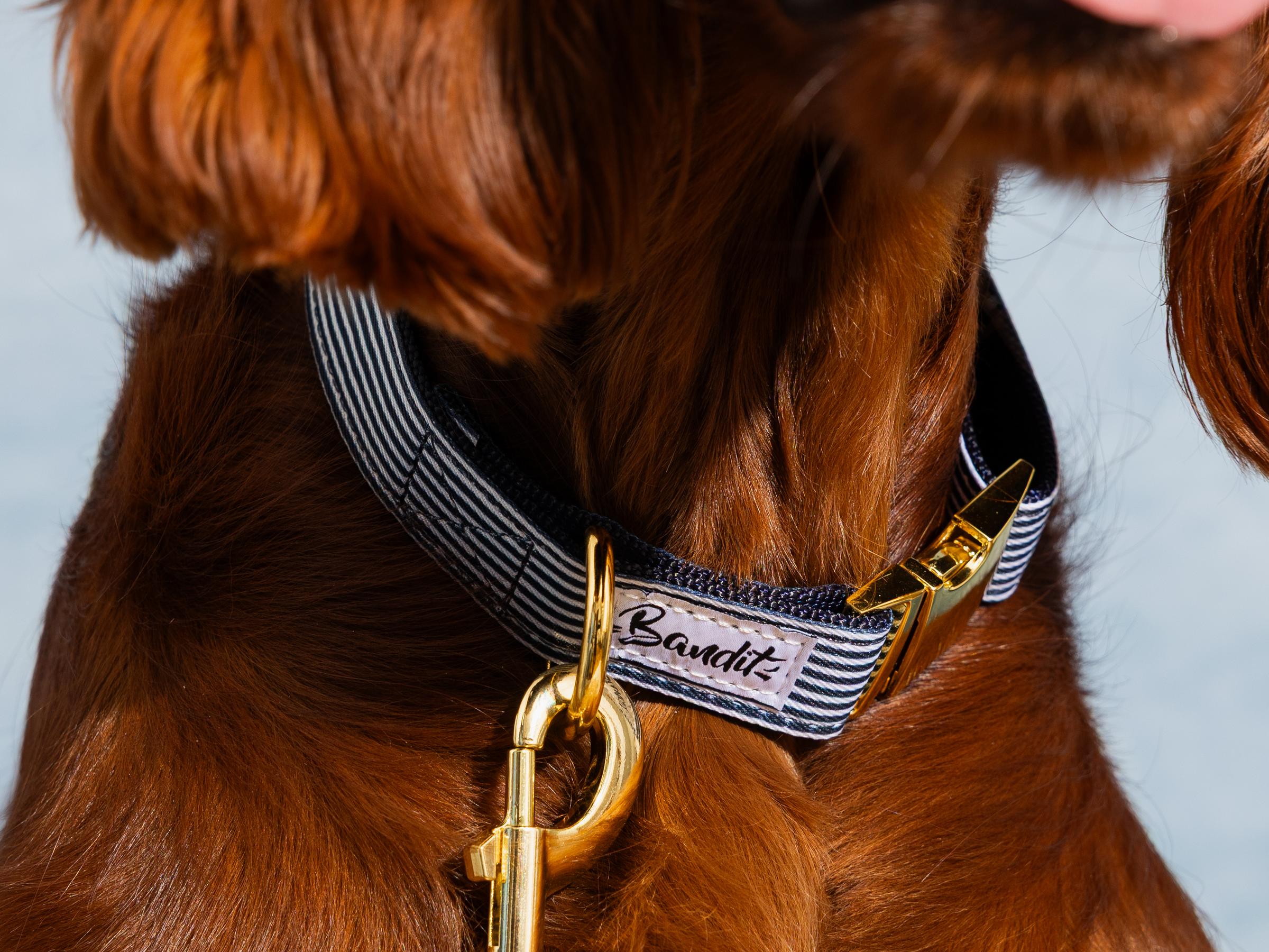 Collar de perro con estampado náutico
