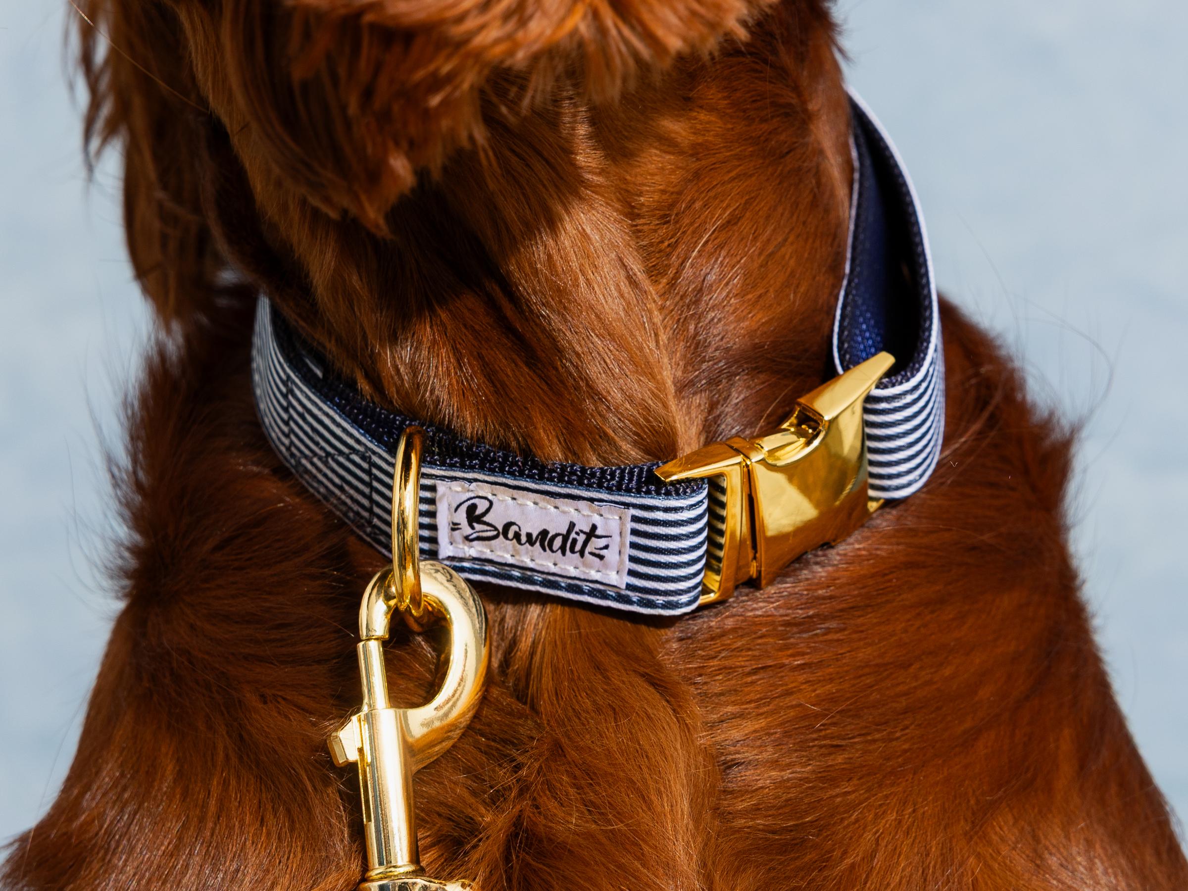 Collar de perro con estampado náutico