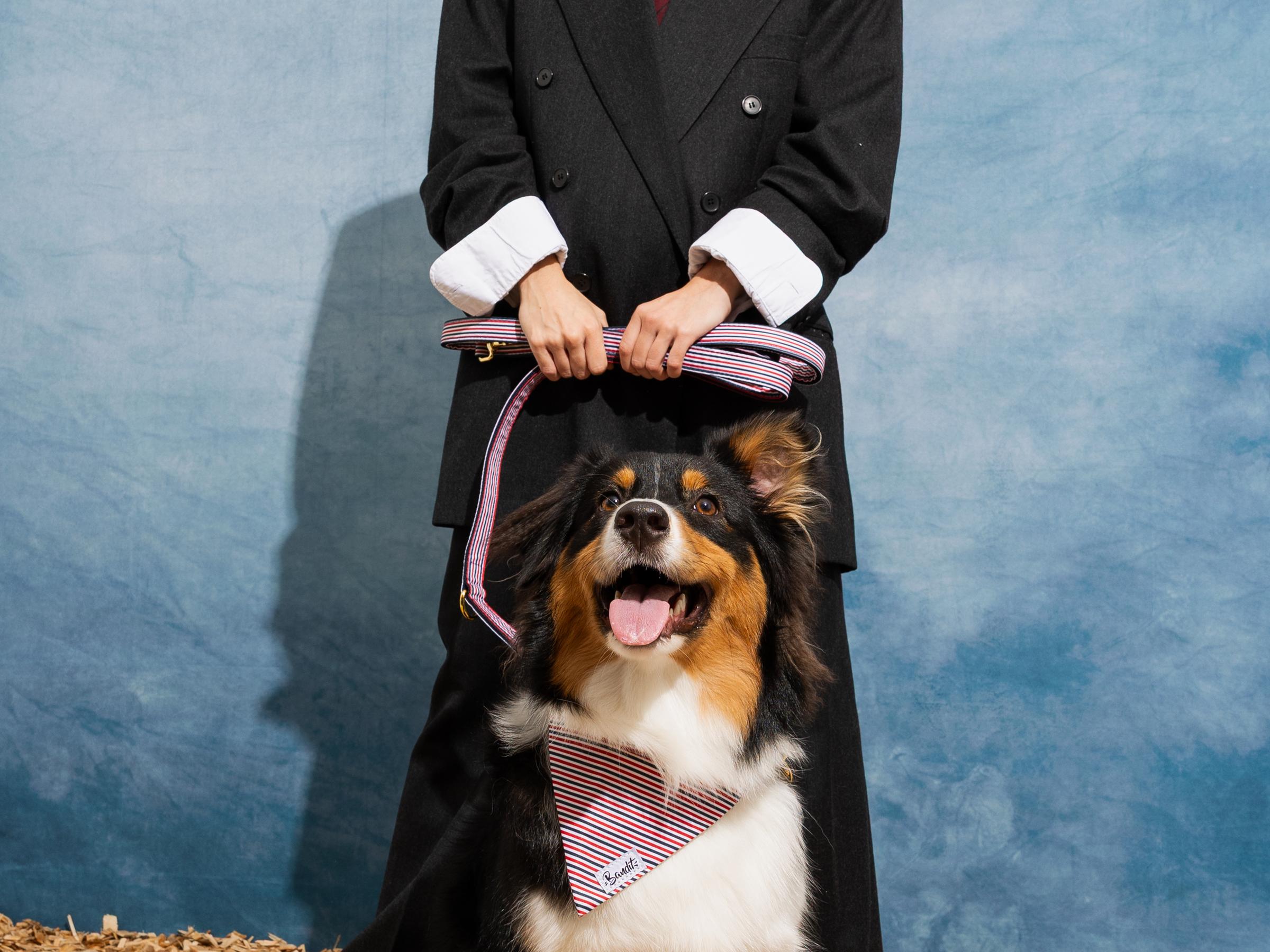 Laisse pour chien bleu blanc rouge