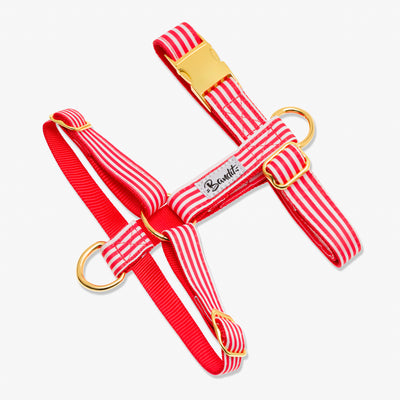 Harnais chien rayé rouge et blanc