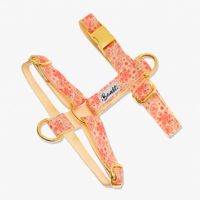 Harnais chien paisley jaune