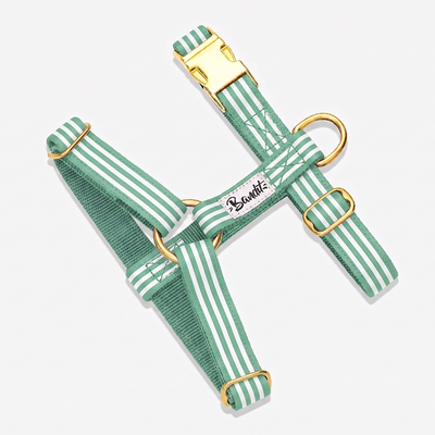 Harnais chien rayé vert et blanc