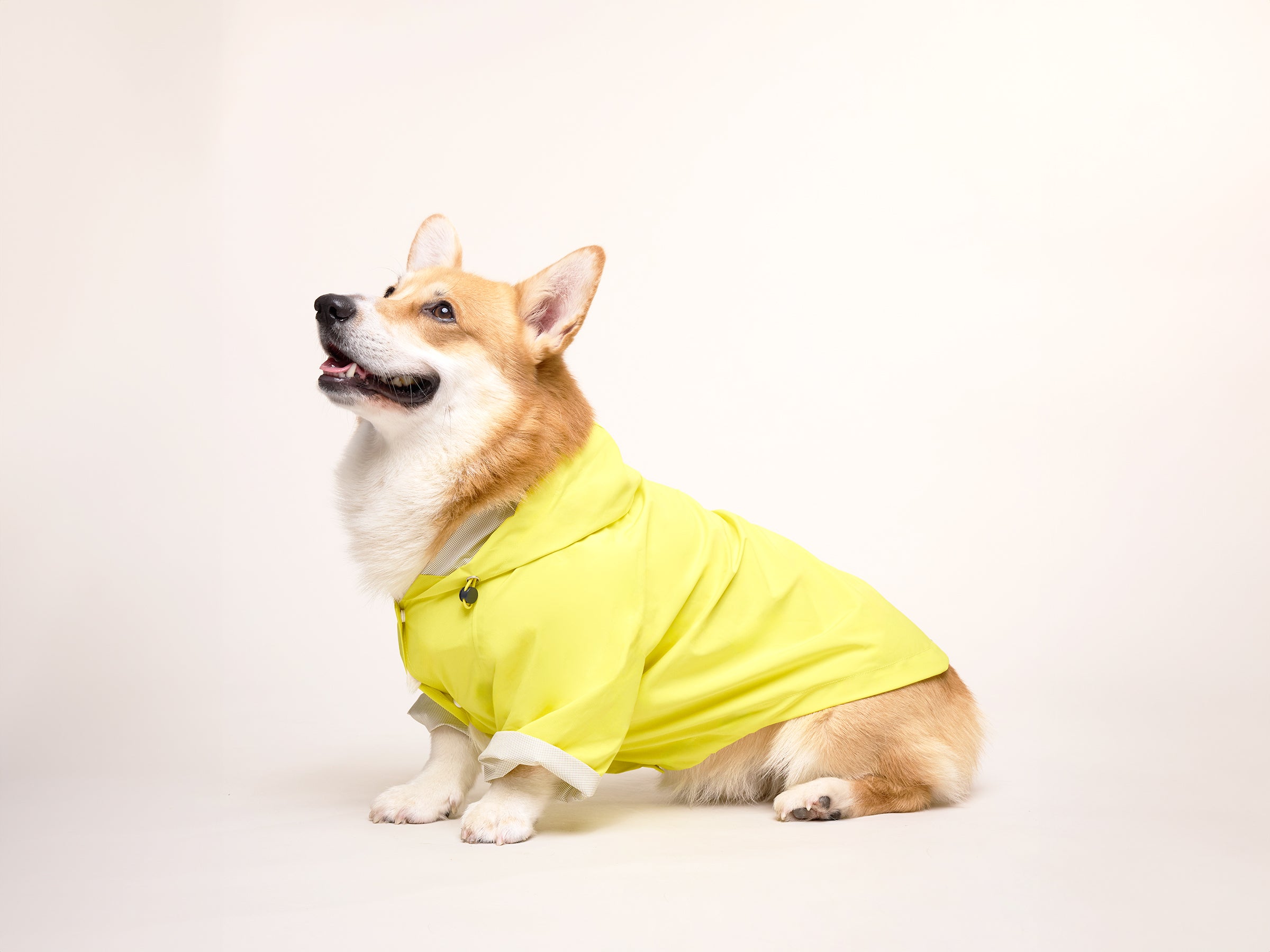 Imperméable pour chien jaune
