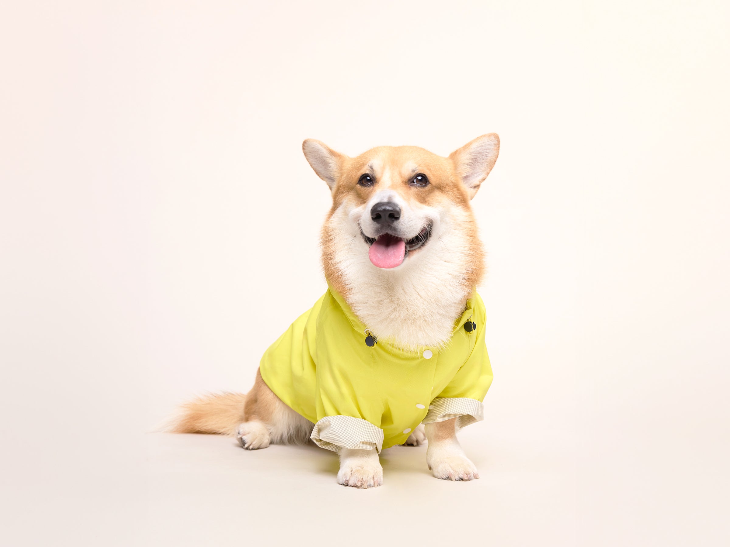 Imperméable pour chien jaune