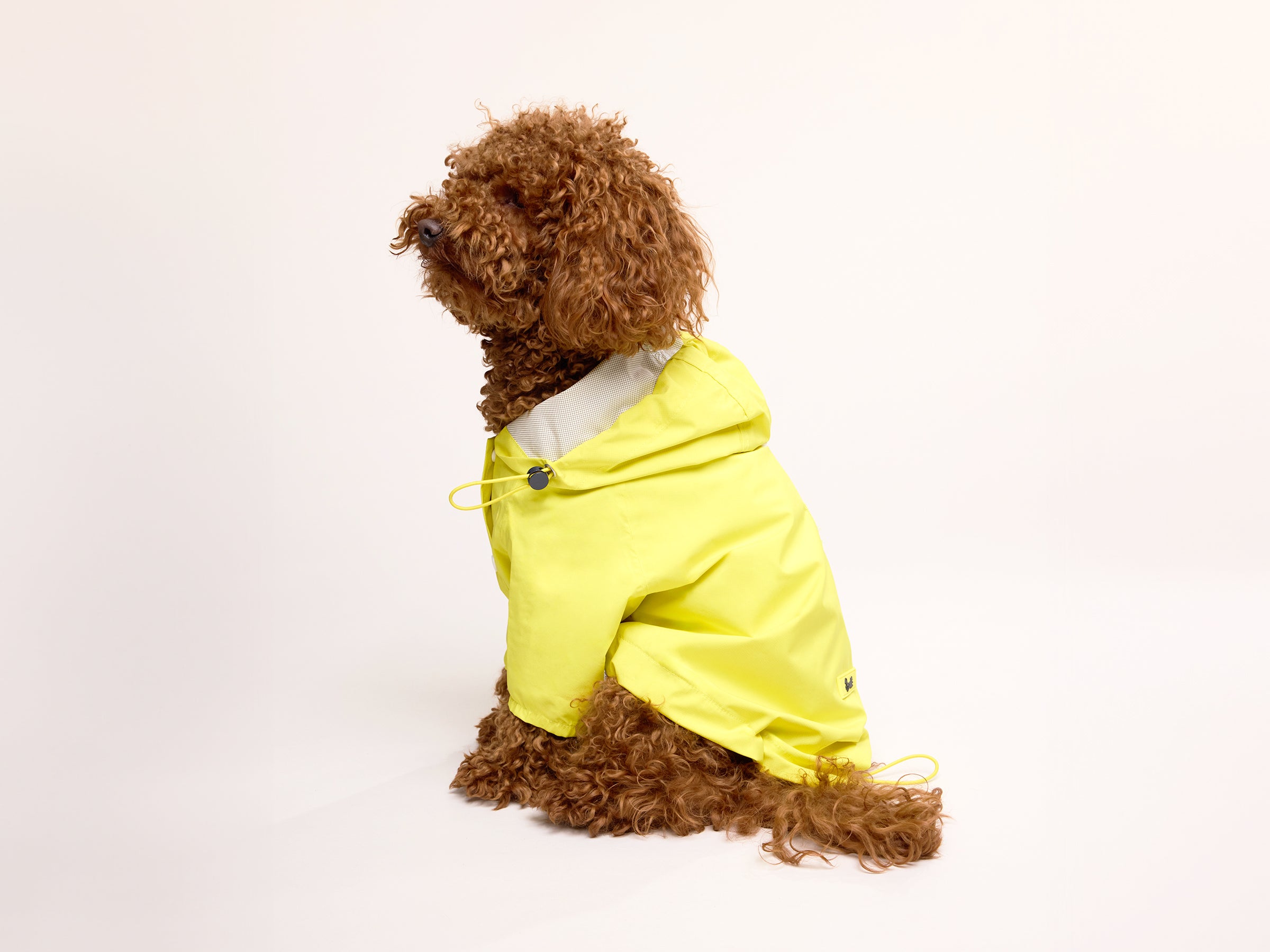 Imperméable pour chien jaune