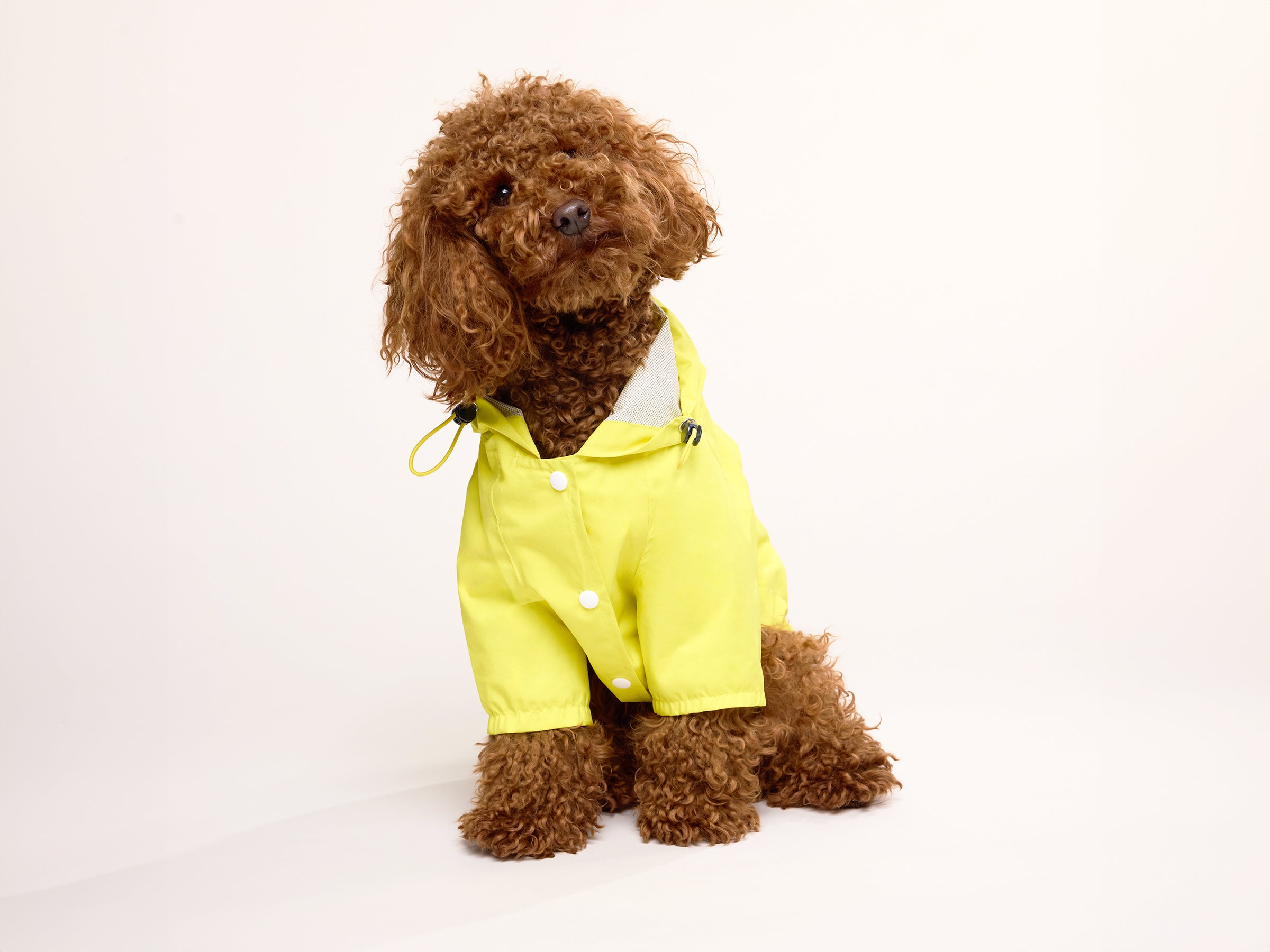 Imperméable pour chien jaune