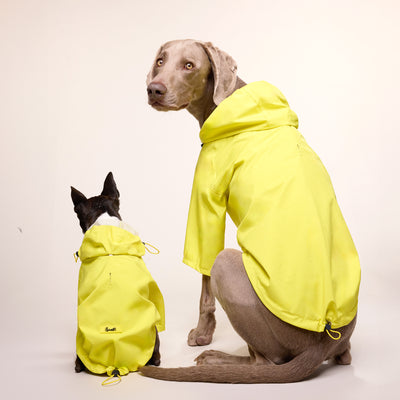 Imperméable pour chien jaune