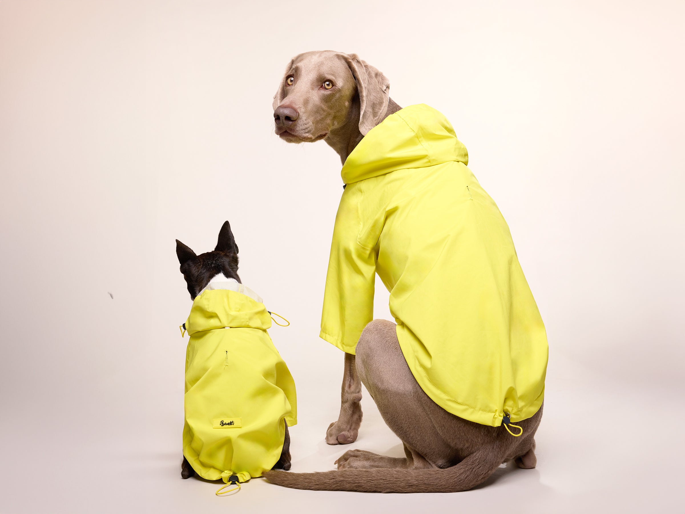 Imperméable pour chien jaune