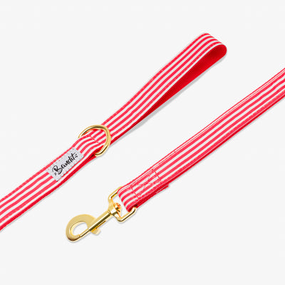 Laisse pour chien rayé rouge et blanc