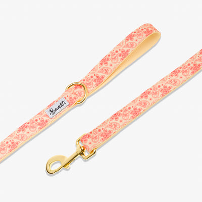 Laisse pour chien paisley jaune