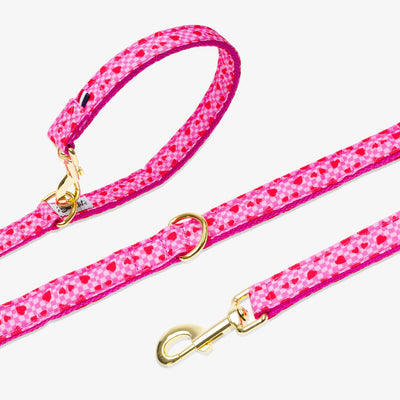 Laisse pour chien imprimé à carreaux roses et coeurs rouges.