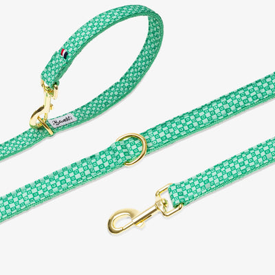 Laisse pour chien imprimé à carreaux vert orné de fleurs.