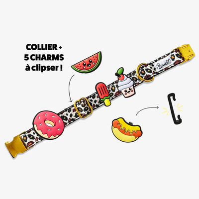 Kit Collier + pack de 5 charms