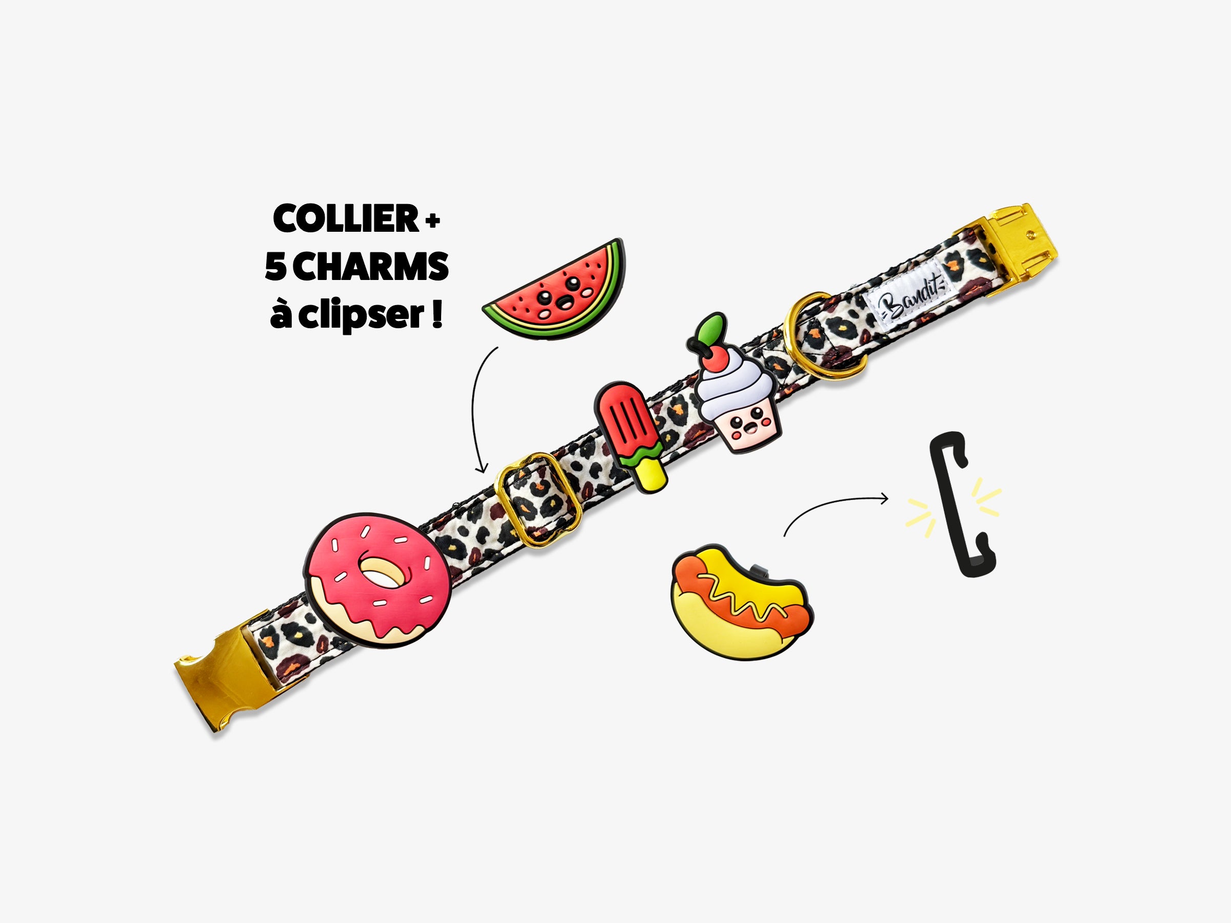 Kit Collier + pack de 5 charms